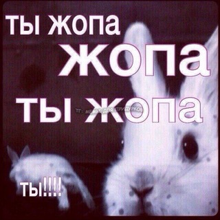 Telegram profile photo for ︎ 🫐 Черемша/В̶и̶т̶ëк̶ 𝚅𝚒𝚝𝚕𝚘̈𝚔🥬 ︎