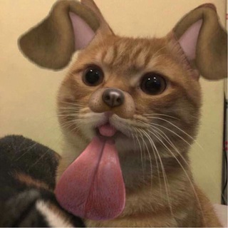 Telegram profile photo for RESS CHEZYPIE
