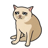 Telegram profile photo for cesh cet