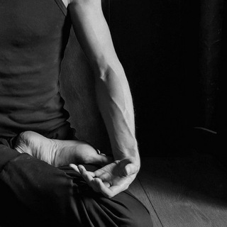 Telegram profile photo for Dharma Yoga