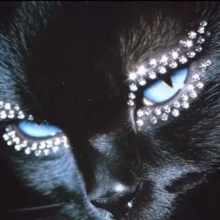 Telegram profile photo for 𝑺𝑪𝑹𝑬𝑨𝑴