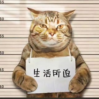 Telegram group profile photo for Telegram飞机代理免费分享