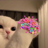 Telegram profile photo for ꒰ ٬ ׂ ‹ uׂpfׅo໋ƖƖ - ꪱnׂs̲tɑ۫grɑ໋ׅmׂ ٫ ♡﹗