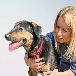 Telegram profile photo for Zoohelp_okt 🐶🐾🐈