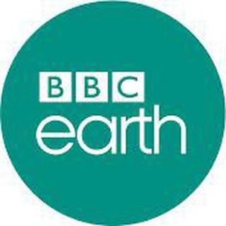 Telegram profile photo for BBC EARTH