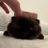 Telegram profile photo for Банк Пудика