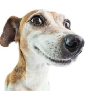 Telegram profile photo for Неужели полезные инструкции по фортнайту?