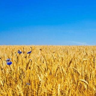 Telegram profile photo for АгроЗакупівля - Миттєвий Розрахунок