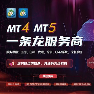 Telegram profile photo for 正版MT5/FX6/合约交易所发售币招商频道