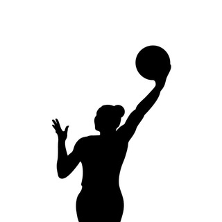 Telegram profile photo for BasketStat