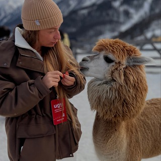 Telegram profile photo for про КЛУБ активности
