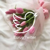 Telegram profile photo for 𝙀𝙪𝙧𝙪𝙨 𝙏𝙬𝙞𝙩𝙩𝙚𝙧