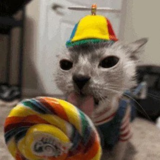 Telegram profile photo for клуб любителей рэпа