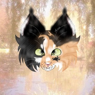 Telegram profile photo for ⋆ 🌱Лето с рилтен!! 。˚