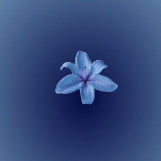 Telegram profile photo for omq _ عمق