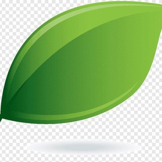 Telegram profile photo for Зелёный лепесток 🍃🍀