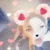 Telegram profile photo for testi part 2
