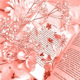 Telegram profile photo for 𝑃𝐻𝐴𝑁𝐹𝐼𝐶𝑇𝐼𝑂𝑁 - 𝑠𝑒𝑡𝑘𝑎