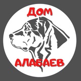 Telegram profile photo for Дом алабаев Крым