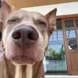 Telegram profile photo for ဘာလဲ ?