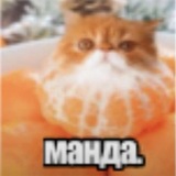 Telegram profile photo for Мысли 🍊