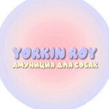 Telegram profile photo for Yorkin.Roy