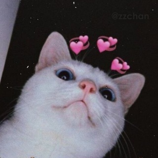 Telegram profile photo for love pictures