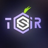 Telegram profile photo for Tesment
