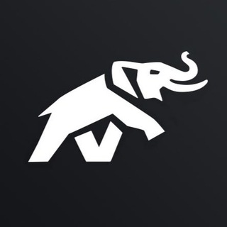 Telegram profile photo for OpenAP