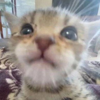 Telegram profile photo for Бзн?hehehe