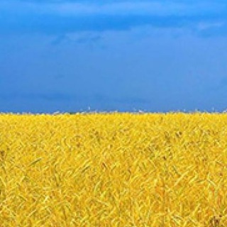 Telegram profile photo for Політика Україна | Политика Украины
