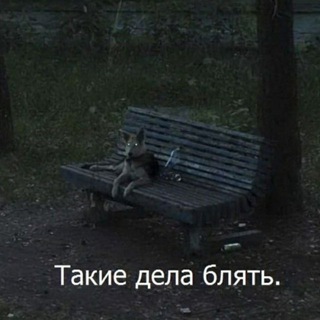 Telegram profile photo for тревожный пакетик