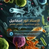 Telegram profile photo for أستاذ أنور / أحياء السادس العلمي