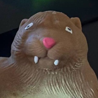 Telegram profile photo for в чем мем