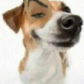 Telegram profile photo for (.)