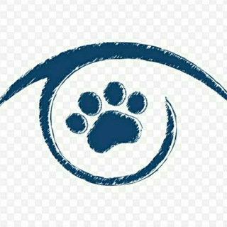 Telegram profile photo for Visual 🐾
