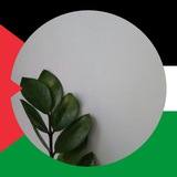 Telegram profile photo for فوائد تجويدية 🌱