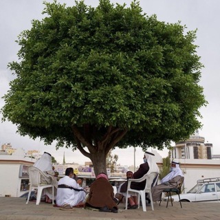 Telegram profile photo for مُش ممكن!