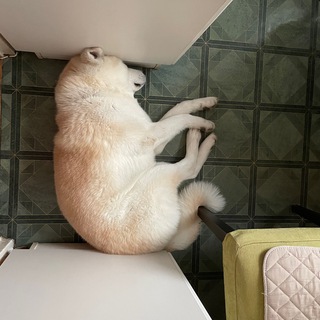 Telegram profile photo for Человек: инструкция по применению