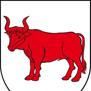 Telegram profile photo for PodlaskiByk