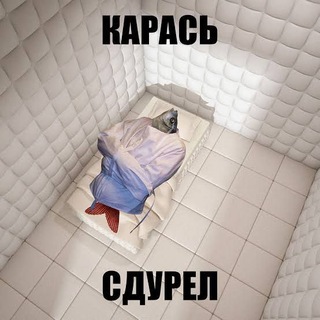 Telegram profile photo for 🫧Aquarium Македонского🫧
