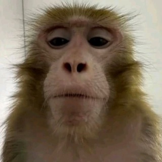 Telegram profile photo for Переходник 𝐴𝐵𝑈𝐵𝑂𝐼