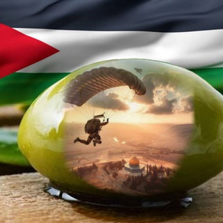 Telegram profile photo for Gaza - Palestine and Israel News