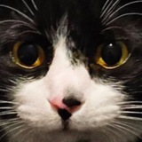 Telegram profile photo for Marti