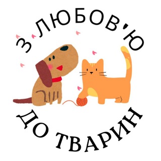 Telegram profile photo for Вусаті-полосаті.