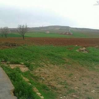 Telegram profile photo for قناة اليمن الاخباريه نيوز