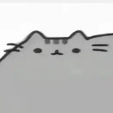 Telegram profile photo for Переходник блин