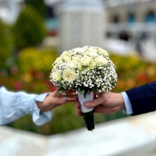 Telegram profile photo for بینِخطوطِ زندگی🫀