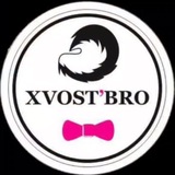 Telegram profile photo for Груминг салон | Ильинское-Усово | ХвостБРО 🦮