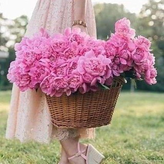 Telegram profile photo for عـطـر الـورد 💖